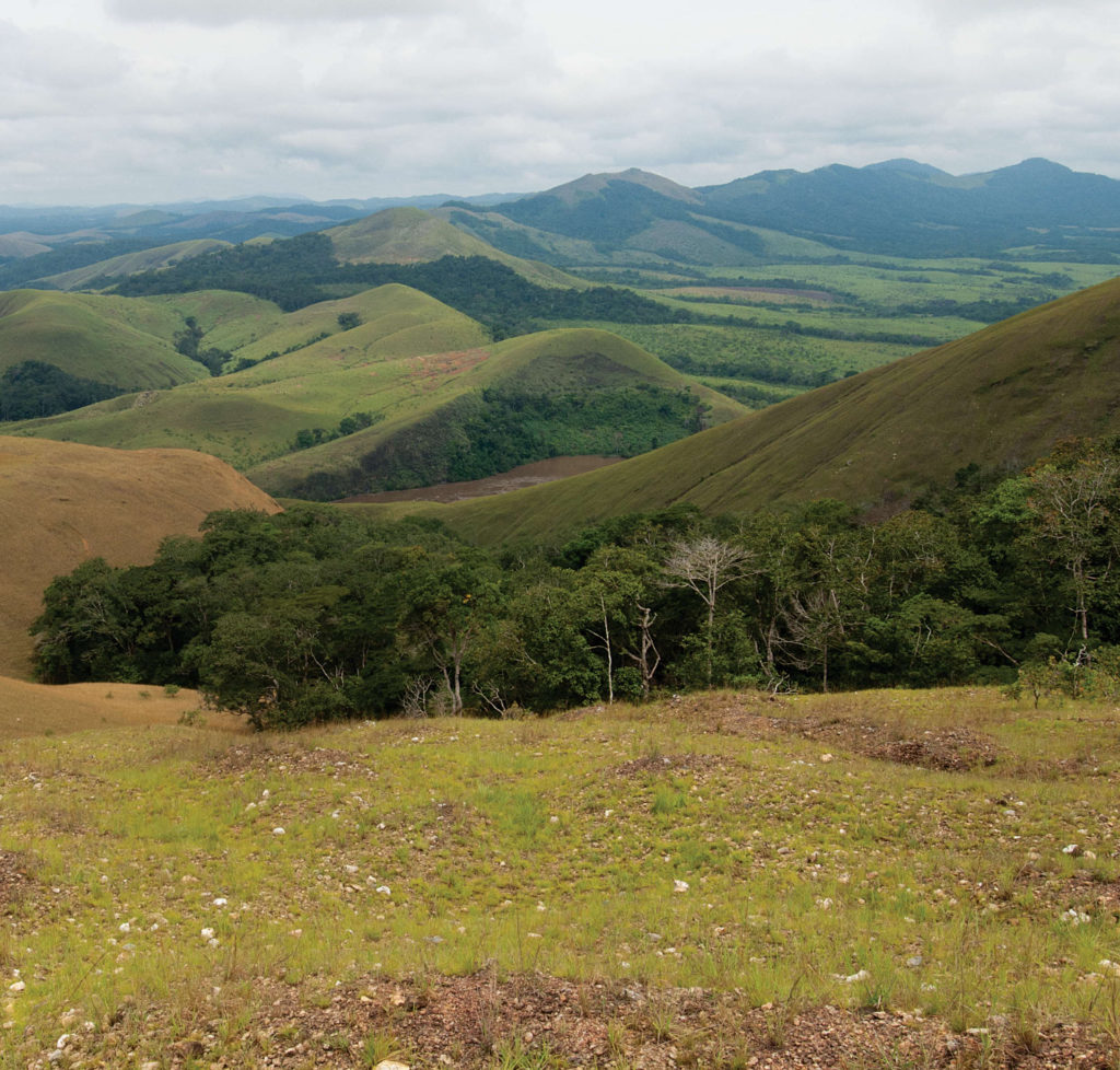 Vue mont Brazza - Gabon